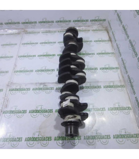 Cigüeñal Usado Fendt F934201310080