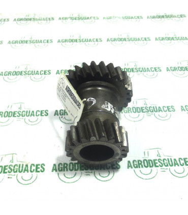 Piñón doble TDF T19-25 usado Case 155700220117