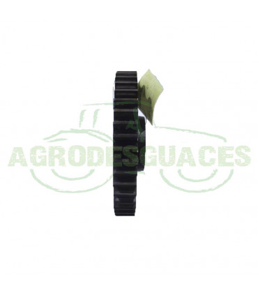 Piñón Estriado Case 116580A1